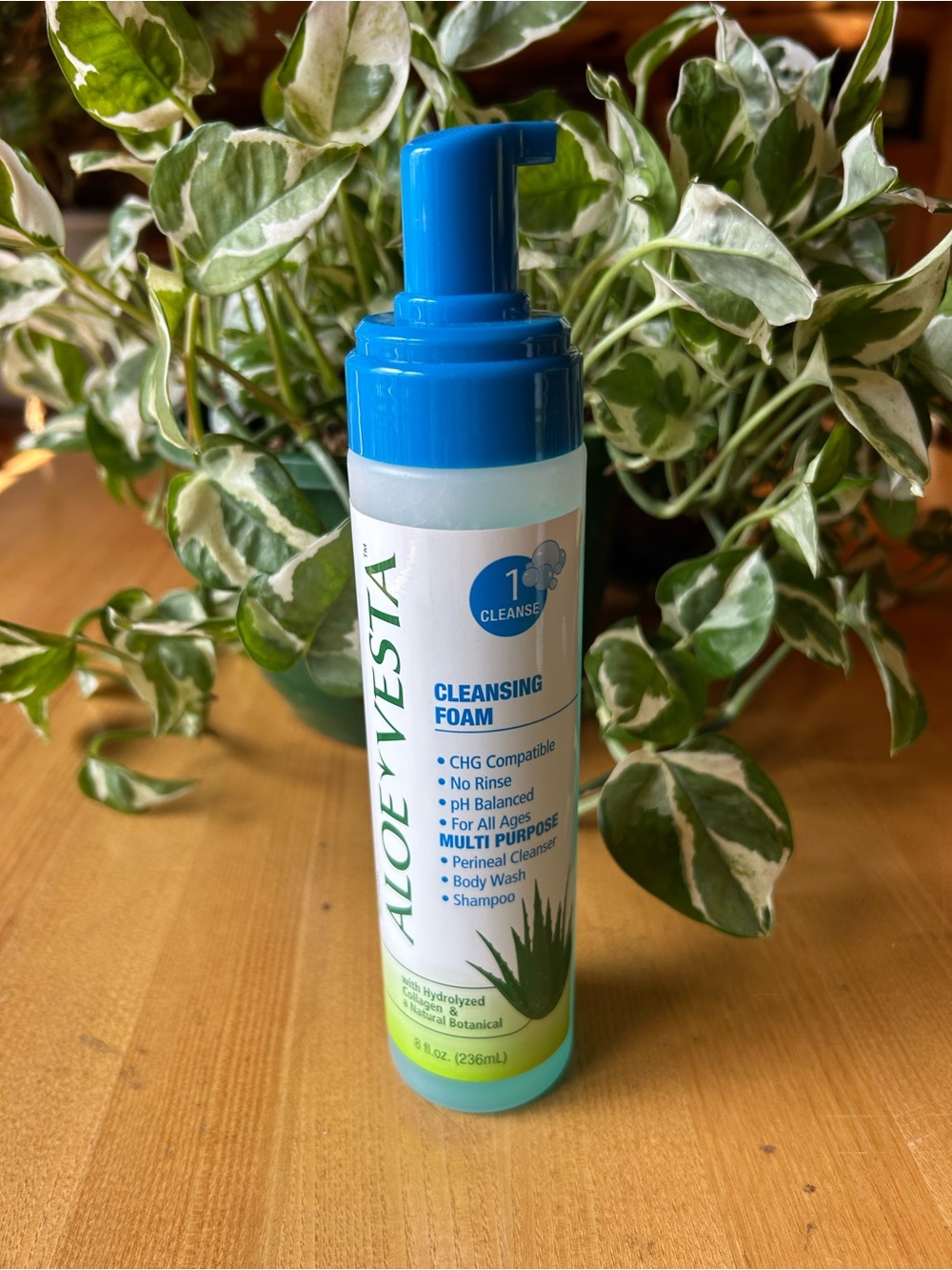 Aloe Vesta Gentle No-Rinse Cleaning Foam